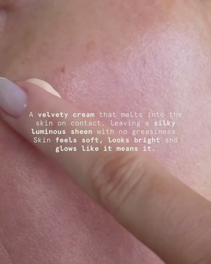 Tolstoy video